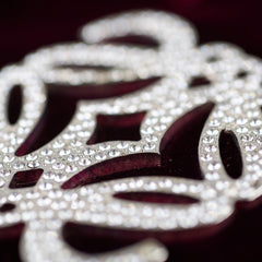 Loewe Mini Amazona Burgundy Velvet with Crystal Anagram Loewe Mini Amazona Burgundy Velvet with Crystal Anagram