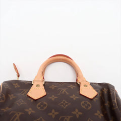 Louis Vuitton Monogram Speedy 25