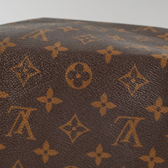 Louis Vuitton Speedy 30 Monogram
