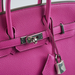 Hermes Birkin 25 Magnolia C Stamp