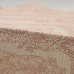 Dior Medium Book Tote Pink