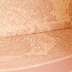 Dior Medium Book Tote Pink