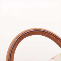 Louis Vuitton Multicolor Speedy 30