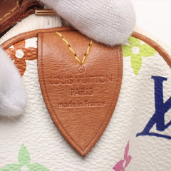 Louis Vuitton Multicolour Speedy 30
