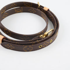 Louis Vuitton Canvas Strap Monogram