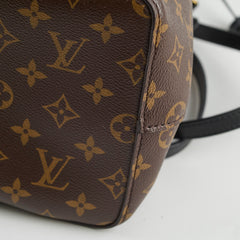 Louis Vuitton Neo Noe Monogram