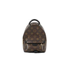 Louis Vuitton Palm Springs Mini