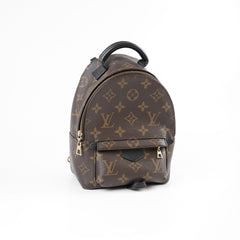 Louis Vuitton Palm Springs Mini