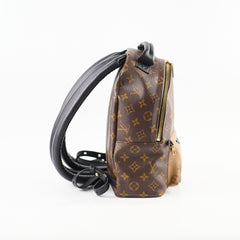 Louis Vuitton Palm Springs Reverse Monogram PM Backpack