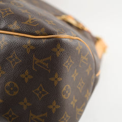 Louis Vuitton Delightful GM Monogram Canvas