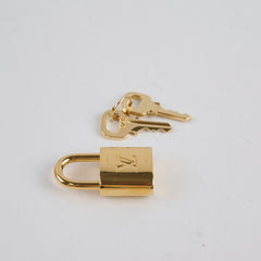 Louis Vuitton x TM Multicolor Murakami Speedy B25