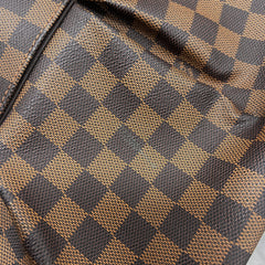 Louis Vuitton Trevi PM Damier Ebene