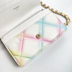 Chanel 19 Wallet on Chain WOC Multicolour