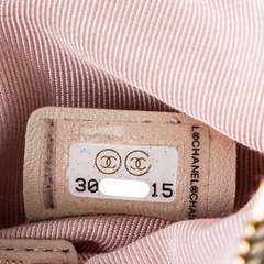 Chanel Iridescent Mini O Case