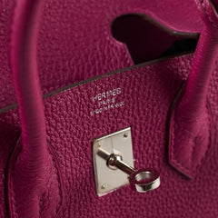 Deal of The Week - Hermes Birkin 25 Tosca Togo O Square Stamp