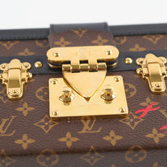 Louis Vuitton Petite Malle Monogram