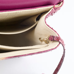 Christian Dior Miss Dior Python Flap Bag Multicolor