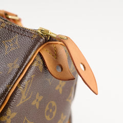 Louis Vuitton Speedy 30 Monogram