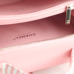 Chanel Vanity Pink Stripe Caviar (2018)