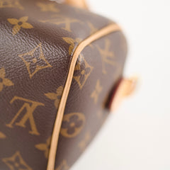 Louis Vuitton Speedy 20 Monogram