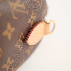 Louis Vuitton Speedy 20 Monogram