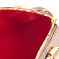 Louis Vuitton Speedy 20 Monogram
