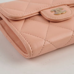 Chanel Card Holder On Chain Nude 31 Series