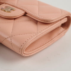 Chanel Card Holder On Chain Nude 31 Series