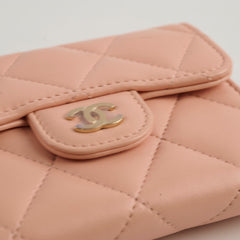 Chanel Card Holder On Chain Nude 31 Series