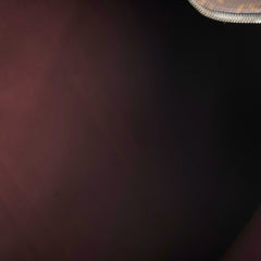Louis Vuitton Keepall 55 Monogram