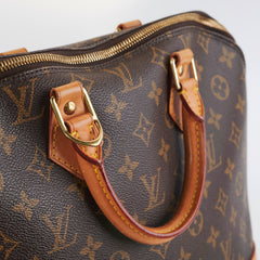 Louis Vuitton Alma PM Monogram Bag