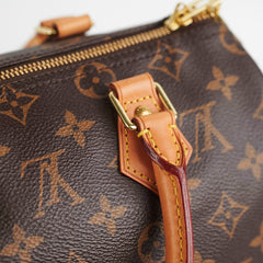 Louis Vuitton Speedy 25 Monogram