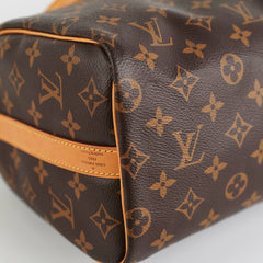 Louis Vuitton Speedy 25 Monogram