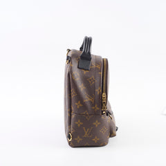 Louis Vutton Mini Palm Spring Monogram