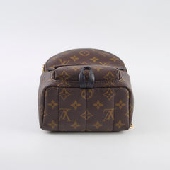 Louis Vutton Mini Palm Spring Monogram