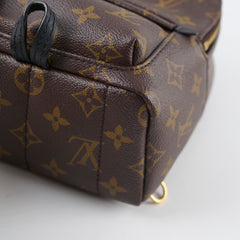 Louis Vutton Mini Palm Spring Monogram