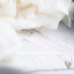 Louis Vutton Mini Palm Spring Monogram