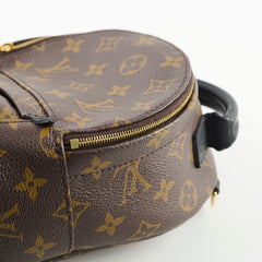 Louis Vuitton Mini Palm Spring Monogram