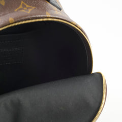 Louis Vuitton Mini Palm Spring Monogram