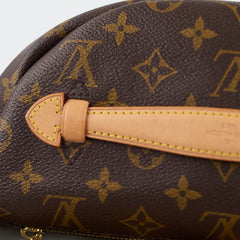 Louis Vuitton Bumbag Monogram