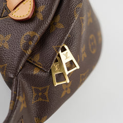 Louis Vuitton Bumbag Monogram