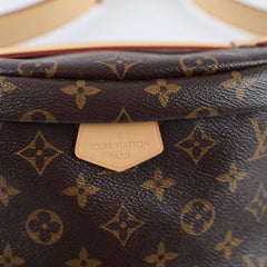 Louis Vuitton Bumbag Monogram