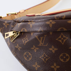 Louis Vuitton Bumbag Monogram