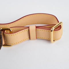 Louis Vuitton Bumbag Monogram