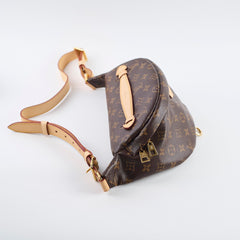 Louis Vuitton Bumbag Monogram