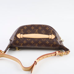 Louis Vuitton Bumbag Monogram