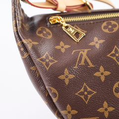 Louis Vuitton Bumbag Monogram