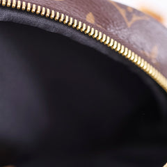 Louis Vuitton Bumbag Monogram