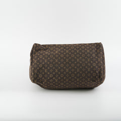 Louis Vuitton Speedy 30 Brown Denim