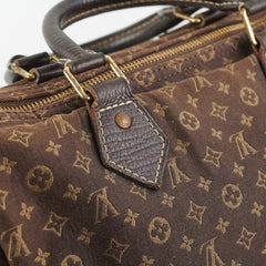 Louis Vuitton Speedy 30 Brown Denim